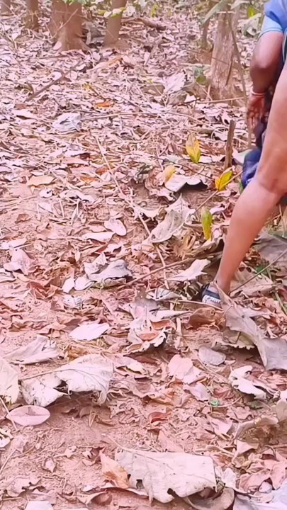 Desi jungle sex. Beautiful bhabi fucking husbend's brother big dick in forest. Telugu dirty talks. | Clip 1