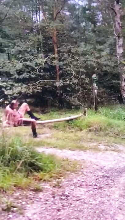 Straf Aan Boom Vastgebonden