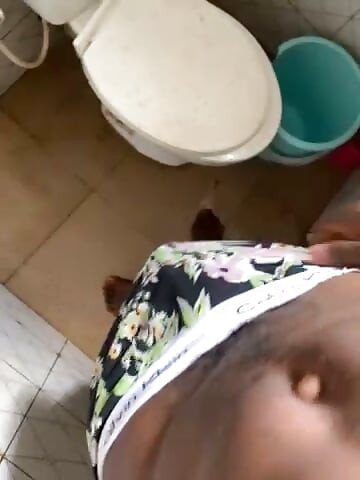 Pau grande excitado
