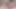 Pov rural innocence , cewek seksi dengan tubuh aduhai ini dientot habis-habisan sampai dicrot di dalam - pov