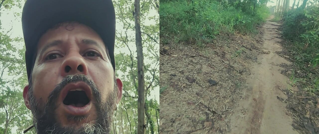 Smoking in the woods