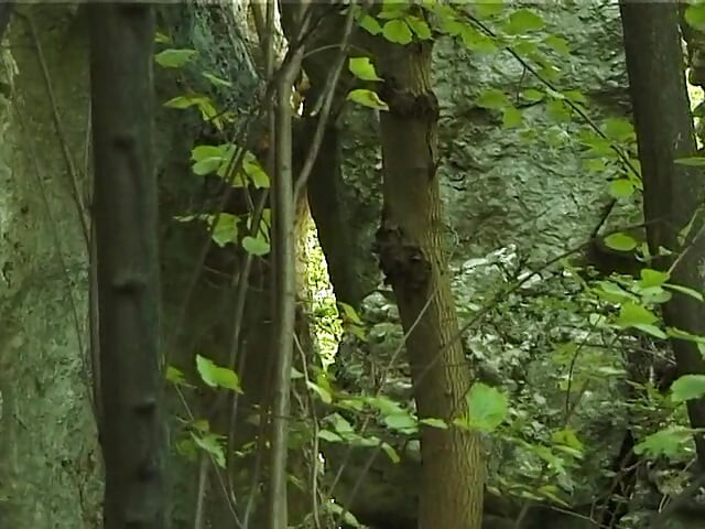 Adorable brunette masturbating outdoors