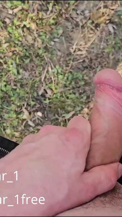 Moment mémorable de « Sexe torride dans la forêt, pipe, beaucoup de sperme. »
