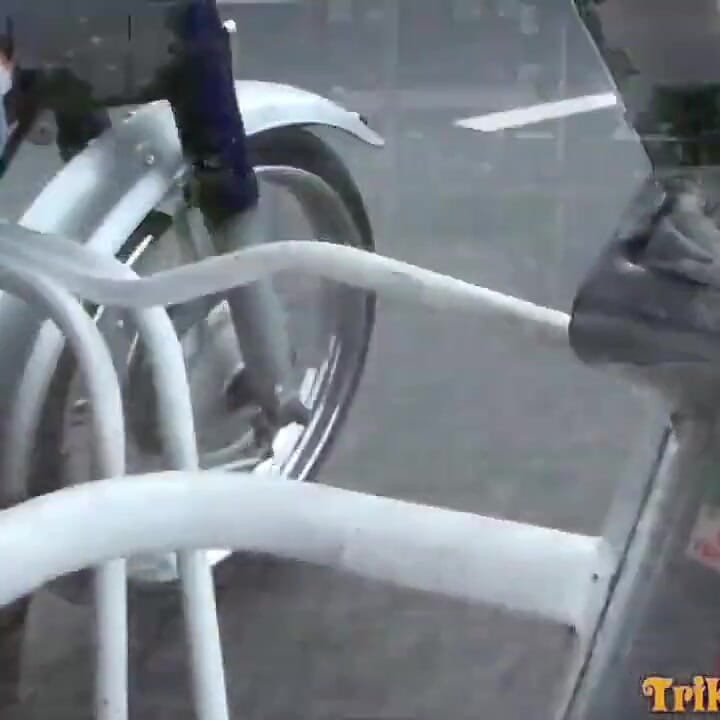 亞洲滑板車，騷貨掠奪者