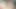 Siri Pornstar gets hot lesbian action!!