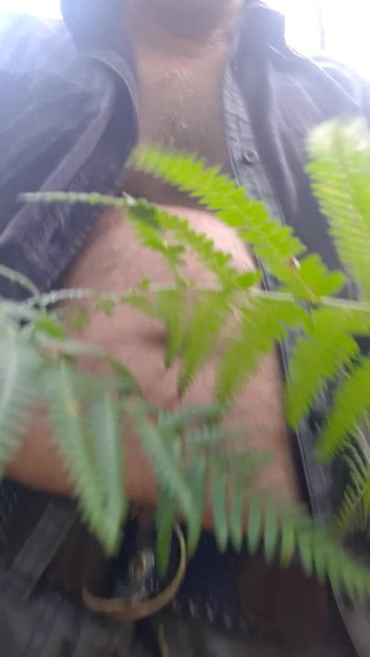 In the wood