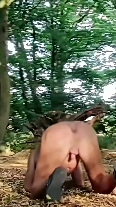 公共の森で尻を上げて