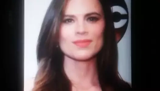 Hayley atwell - haraç i