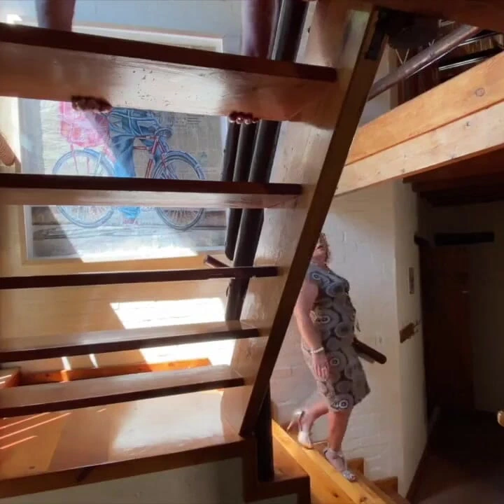 女主人April巨大的假阳具肛交