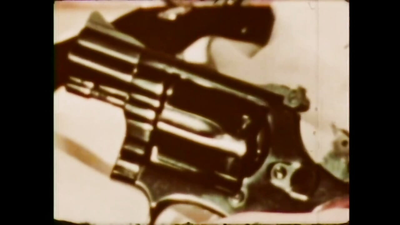 The Pig Eats My Penis