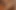 Muhteşem büyük memeli zenci bebek Jada Fire sevimli küçük götünü siktiriyor