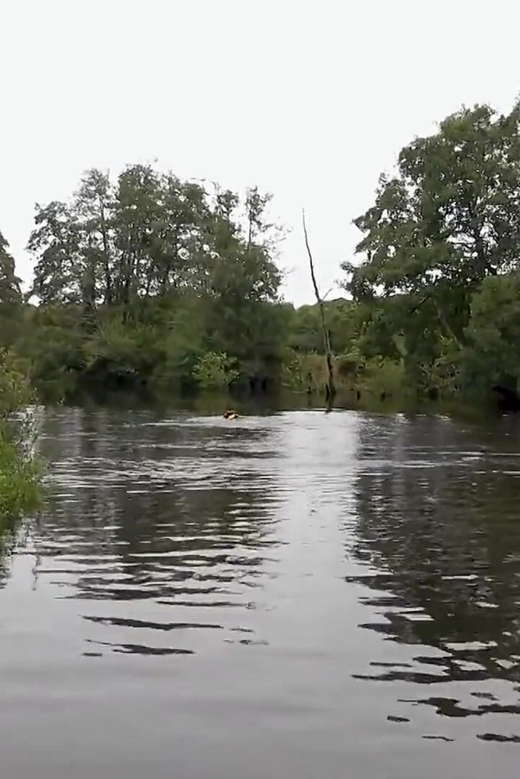 Lifejacket &amp; Cosy Wetsuit Saves Lucy From River Disaster