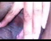 Pussy