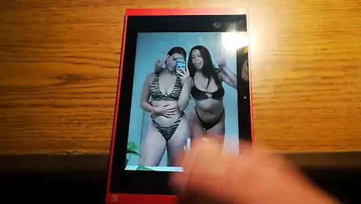 K8e 88 ve taylor haraç 2