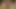 Rumen seksi braileanca yok ona porno döküm seçmelere