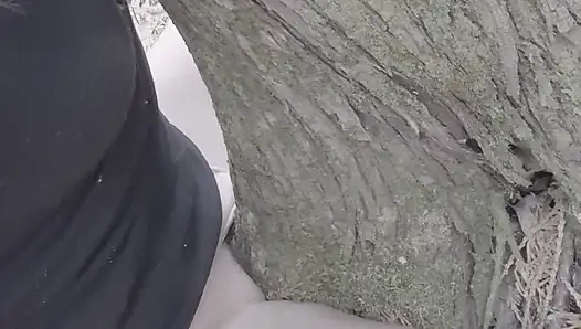 Ngentot pohon di pendakianku