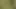 Wanking in the woods