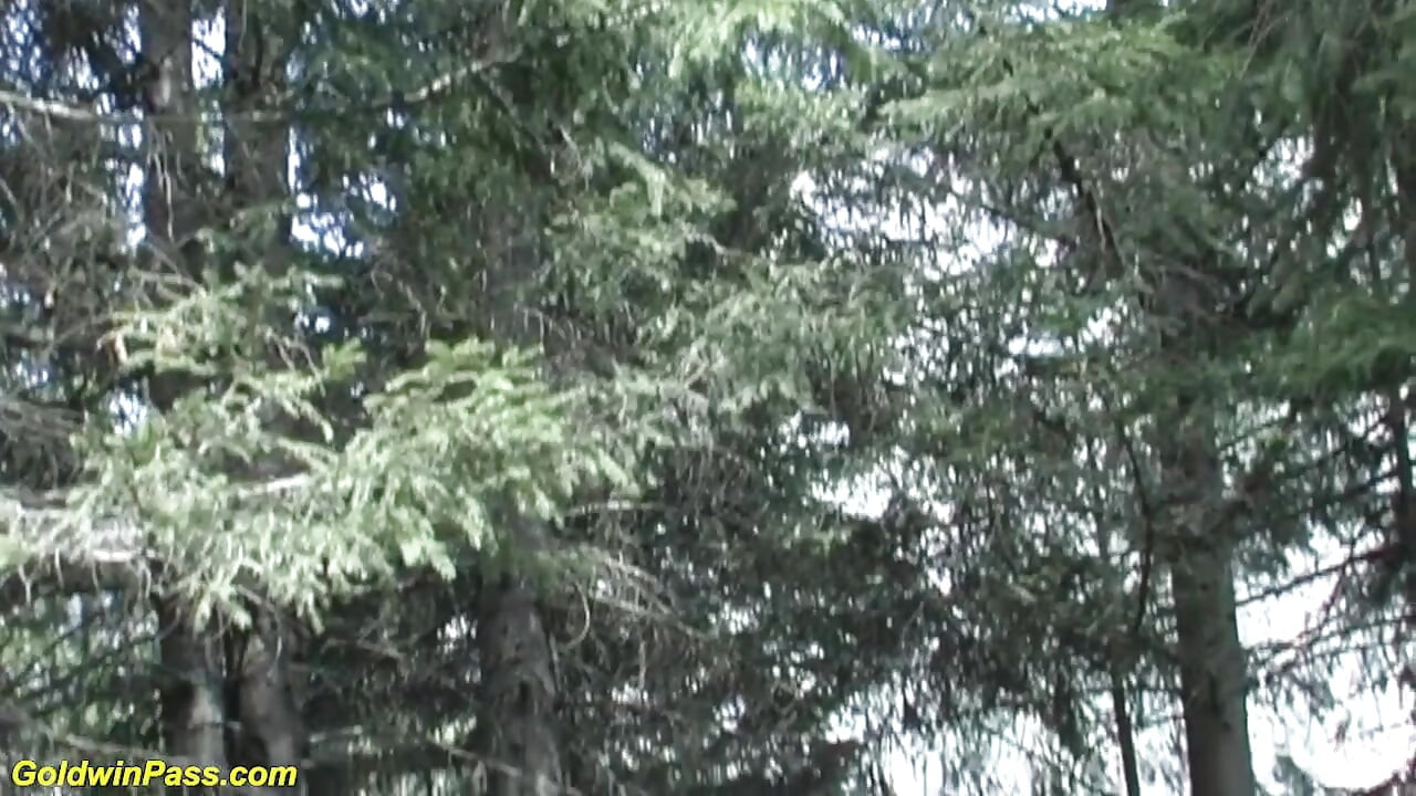 Threesome outdoor action with german girls