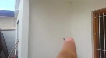 Guten Morgen