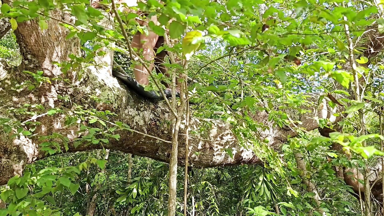 A Buddy Grabbed Me in the Woods and Rammed His Cock Hard Into Me, Cumming Deep Inside My Ass