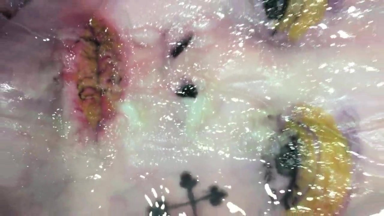 太平洋约翰娜的，致敬