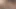 Cum onu ​​kedi dışarı sızdırırken lanet devam etmelisin