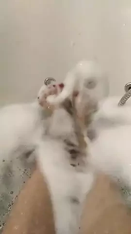 Feeteve video