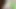 FTM Tboy Dream Cosplayer (dsmp mcyt) fucks himself with slime dildo - big dildo mask