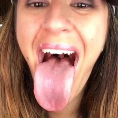 Perrita de garganta deliciosa