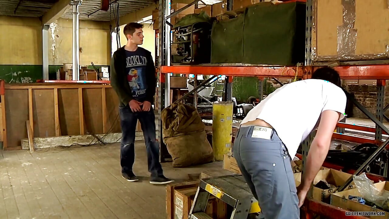 Hard Working Warehouse Boys