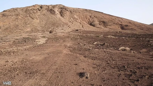 What would you guess that Maria can do on a lonely desert?