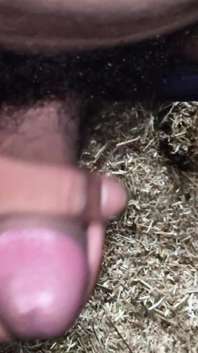 Emotivni trenutak iz "18-godišnjeg mladog seoskog dječaka koji. Indijski dečko Video žestokog jebanja. 4k porno videoDrkanje"