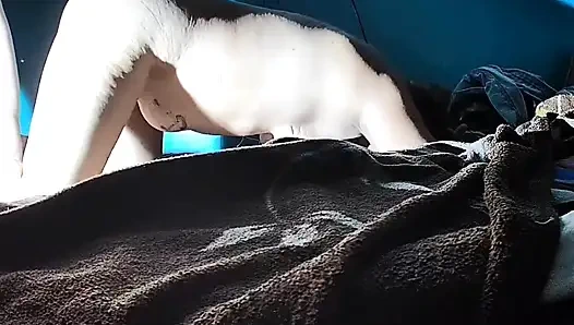 Hala sokmamıyorum ve bana acıtacağını söylüyor