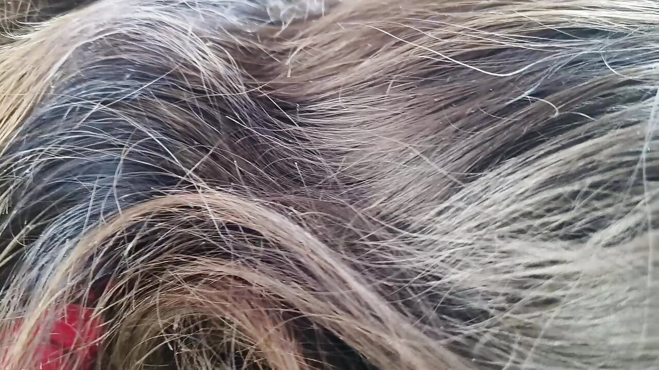 공공 장소에서 자동차 섹스에서 남친에게 펠라를 주는 여친