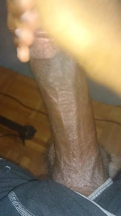 Kote hitam besar melancap