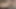 Gorgeous Shemale Twerks and Sucks Dick at Beach