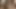Çiftlikte Sıcak Mary (PleasureSex16)