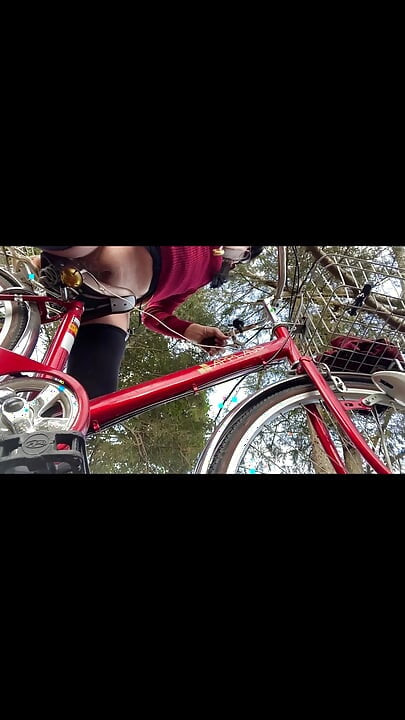 No114 자전거가 태양을 쬐다