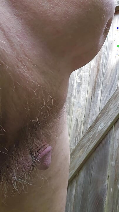 Backyard Coffee
