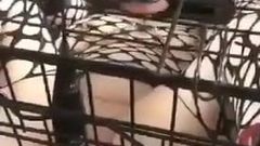 Exposed kim Smith in cage