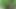 REALITY DUDES - Leonel Swallows Jun's Dick And Sucks His Balls In The Woods Before Getting A Load On His Chest