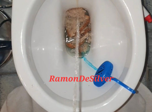 Master Ramon pisst auf dein Essen! Leck die Toilette sauber du dreckiger Sklave!