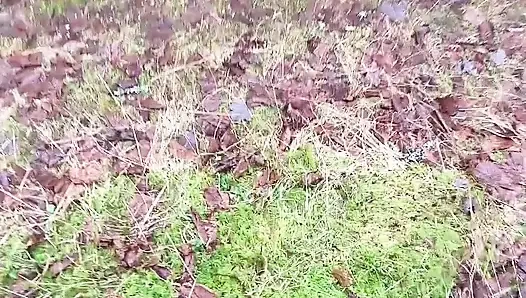 Киска писает воду на скале