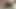 Estim timelapse and very good cumshot
