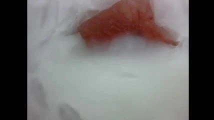 fantasies with pussy