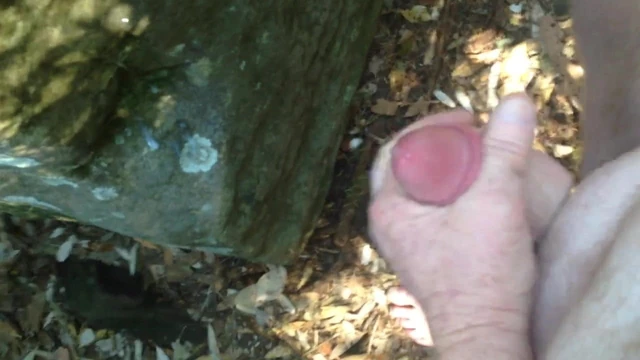 Wanking at the nudist beach in the bushes