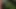 BDSM-Adviser: Nettle for Masochist
