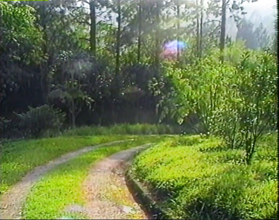 Brazil Nuts, bölüm 5