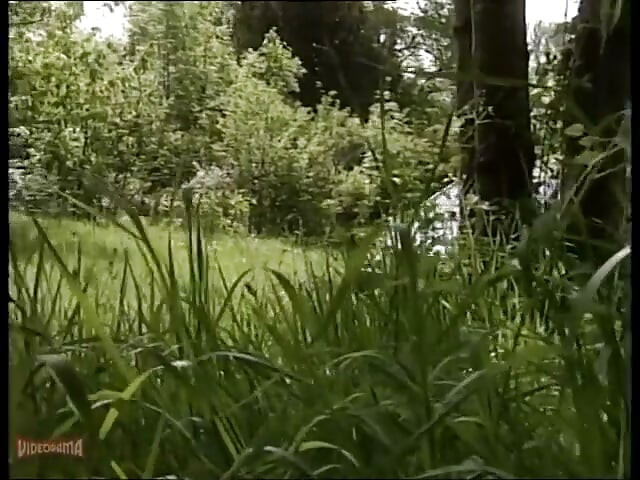 Gina Wild - in the Heat of the Night
