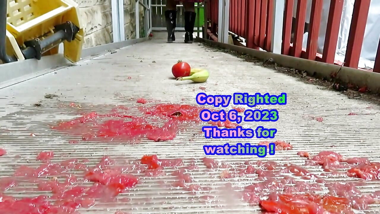 Crushing Adventure with Nurse Vicki